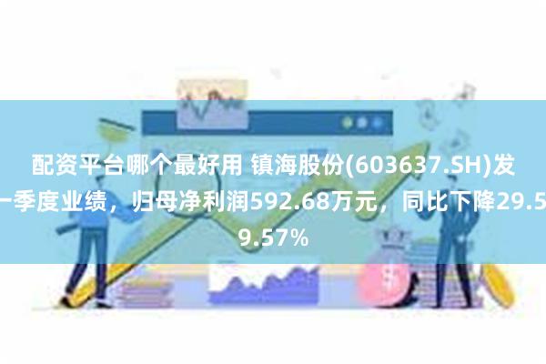 配资平台哪个最好用 镇海股份(603637.SH)发布一季度业绩，归母净利润592.68万元，同比下降29.57%