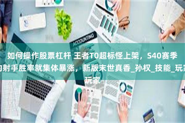 如何操作股票杠杆 王者T0超标怪上架，S40赛季的射手胜率就集体暴涨，新版末世真香_孙权_技能_玩家