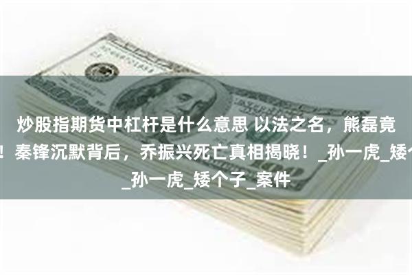 炒股指期货中杠杆是什么意思 以法之名，熊磊竟是王大有！秦锋沉默背后，乔振兴死亡真相揭晓！_孙一虎_矮个子_案件