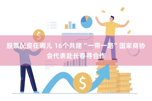 股票配资在哪儿 16个共建“一带一路”国家商协会代表赴长春寻合作