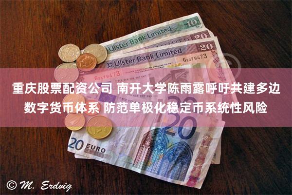 重庆股票配资公司 南开大学陈雨露呼吁共建多边数字货币体系 防范单极化稳定币系统性风险