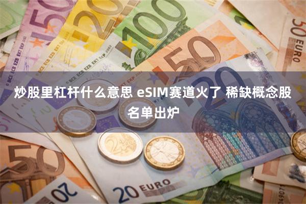 炒股里杠杆什么意思 eSIM赛道火了 稀缺概念股名单出炉