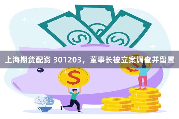 上海期货配资 301203，董事长被立案调查并留置